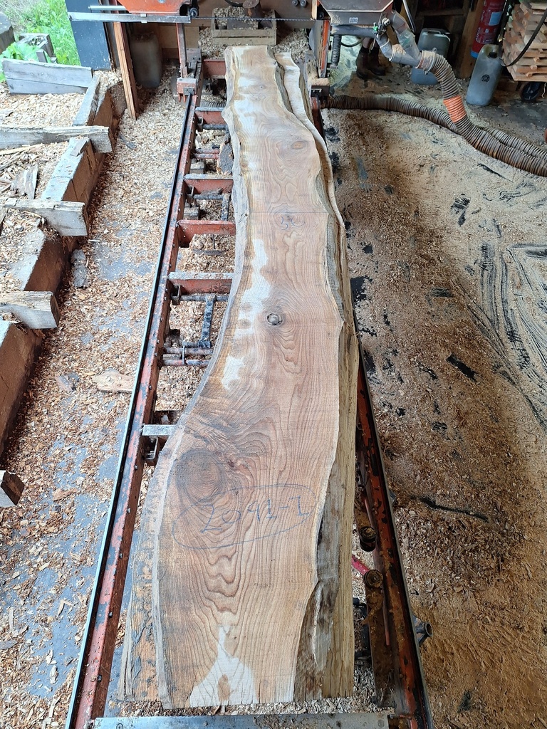 Plateau Chêne Rouge 43 x 300-360 x 3930 mm de la boule 2041 - 1