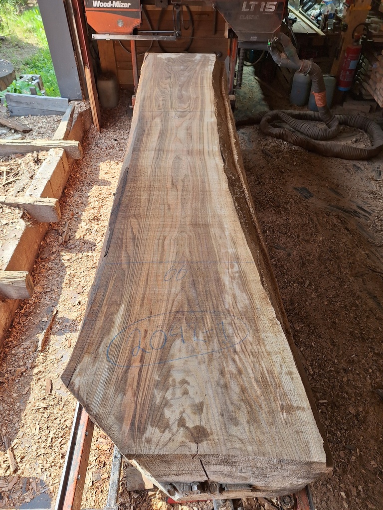 Plateau Orme 63 x 560-660 x 3700 mm de la boule 2042 - 1