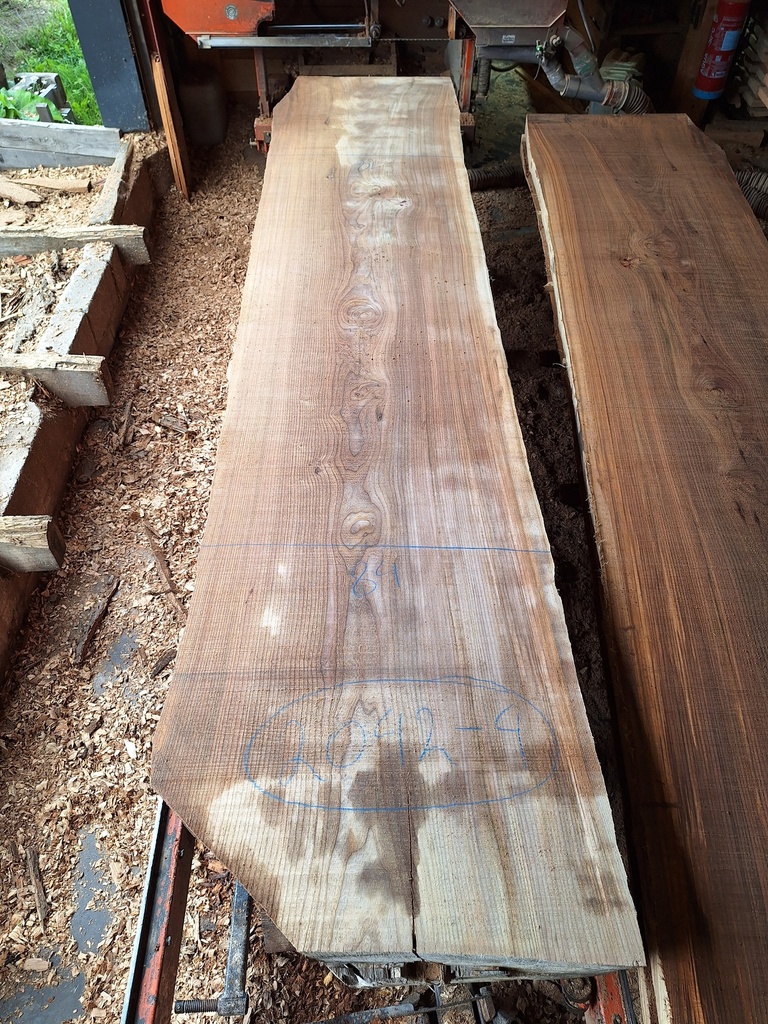 Plateau Orme 83 x 820-840 x 3700 mm de la boule 2042 - 4