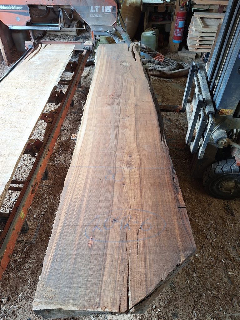 Plateau Orme 83 x 520-800 x 3700 mm de la boule 2042 - 6