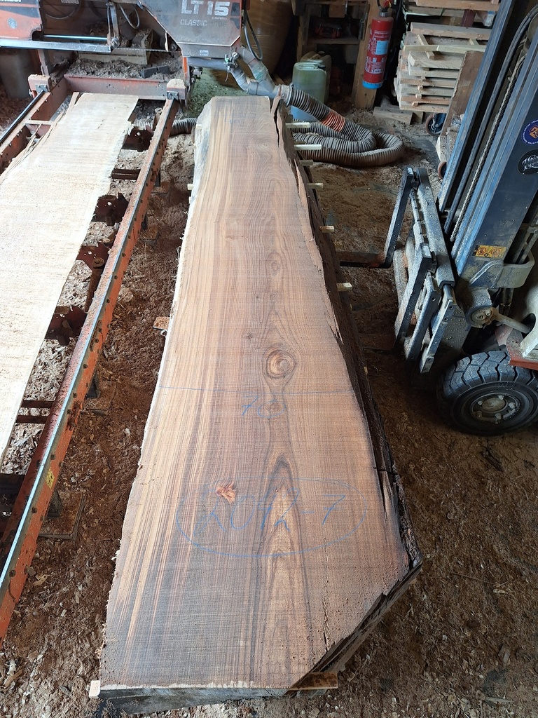 Plateau Orme 63 x 400-700 x 3700 mm de la boule 2042 - 7