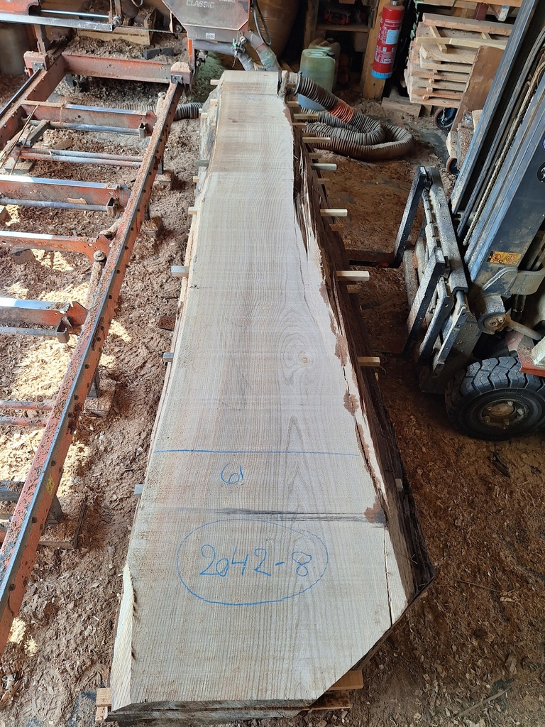 Plateau Orme 63 x 360-610 x 3700 mm de la boule 2042 - 8