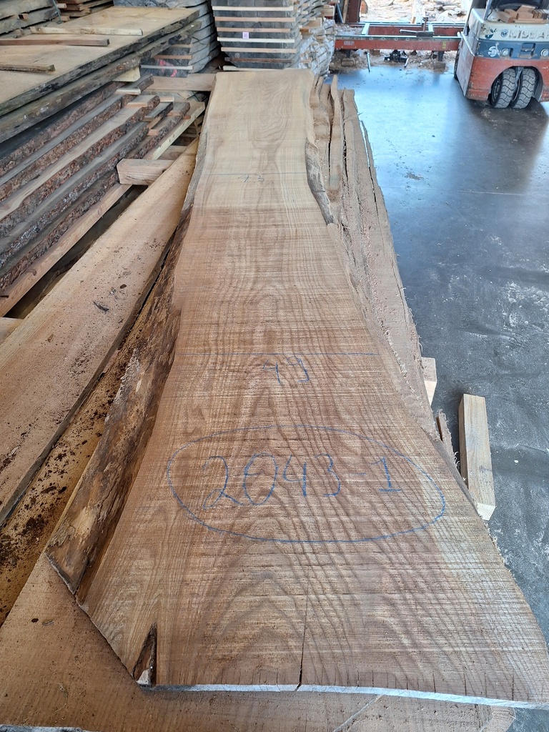 Plateau Orme 28 x 430-490 x 3700 mm de la boule 2043 - 1