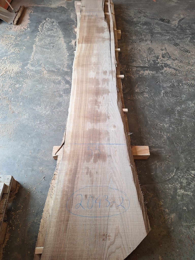 Plateau Orme 28 x 340-550 x 3700 mm de la boule 2043 - 2