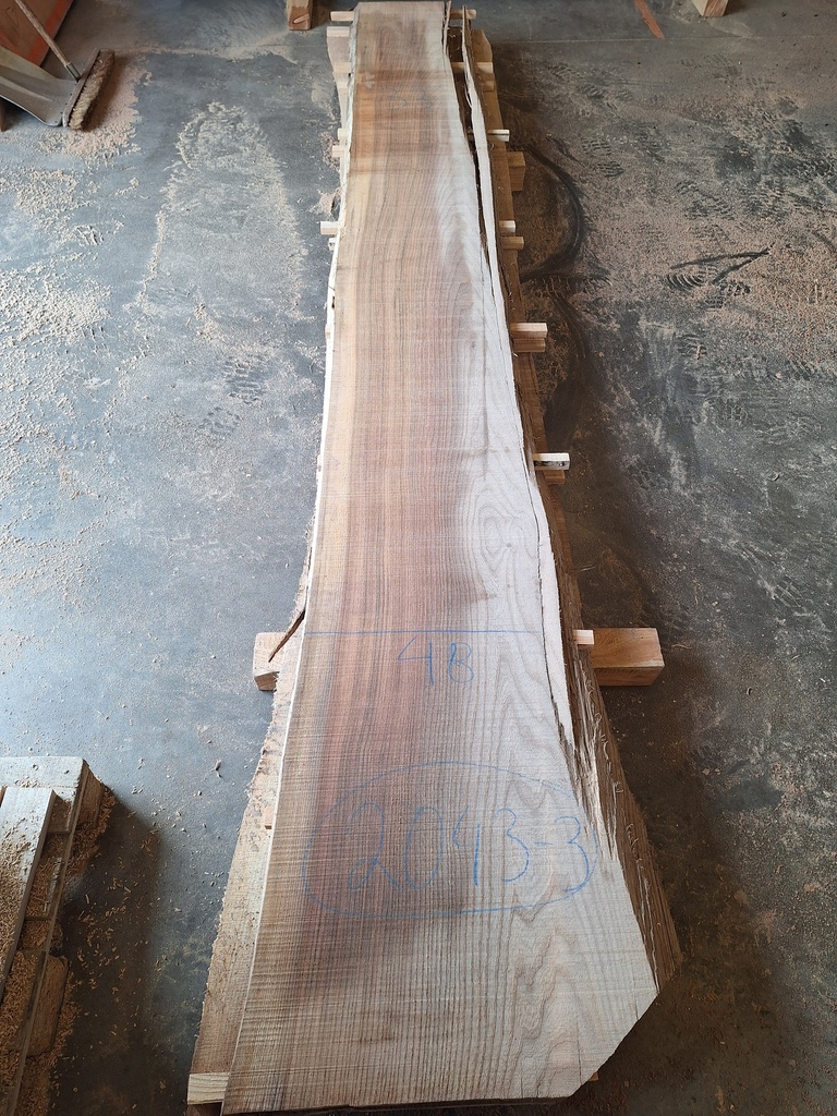 Plateau Orme 28 x 330-480 x 3700 mm de la boule 2043 - 3