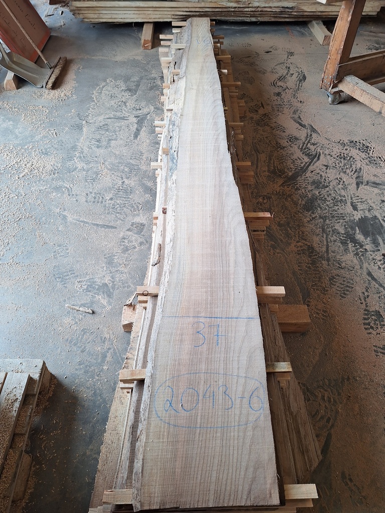 Plateau Orme 28 x 160-370 x 3700 mm de la boule 2043 - 6