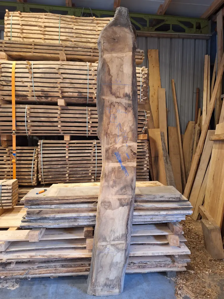 Plateau de chêne  - BA-19