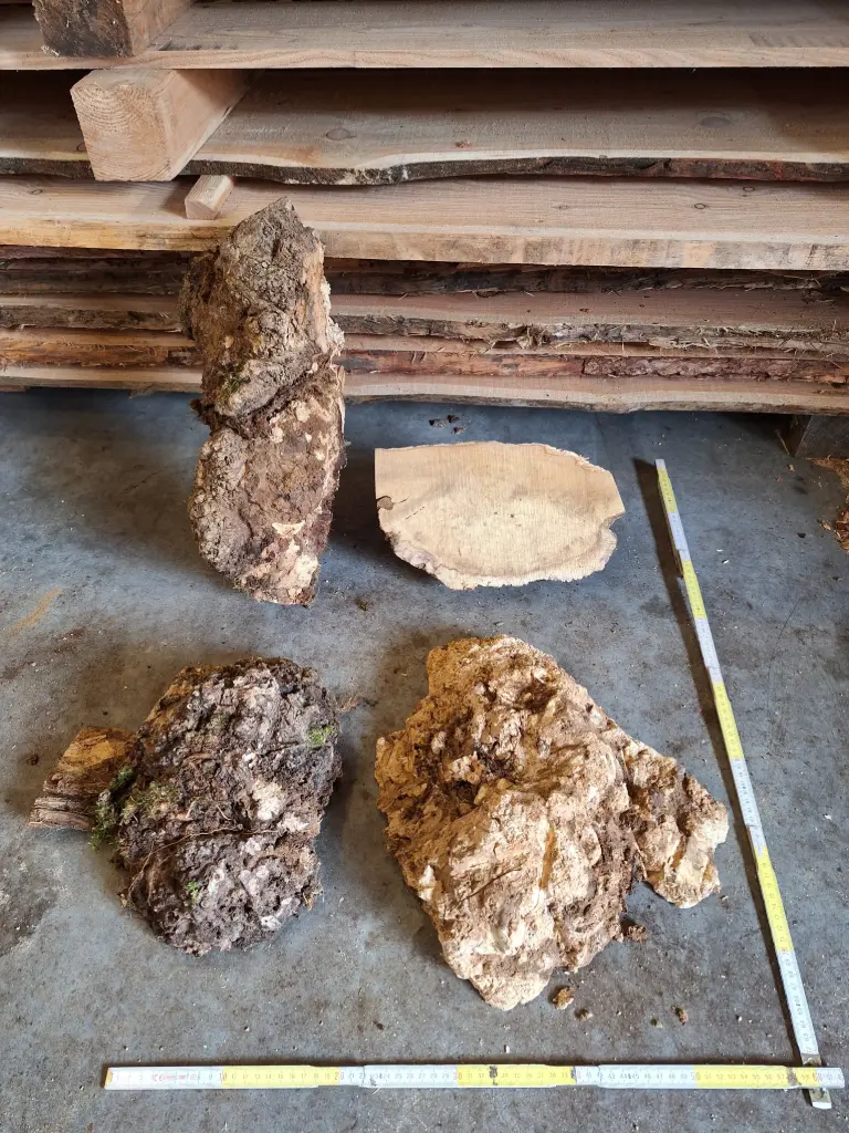 Loupes de robinier - bloc - petites