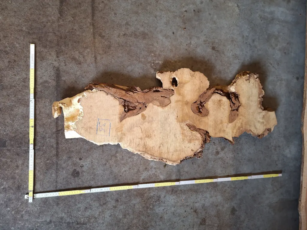 Planche de robinier loupé