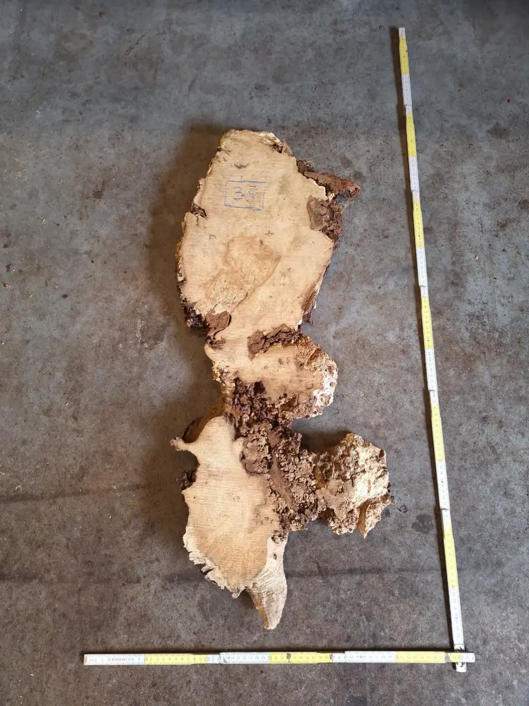 Planche de robinier loupé