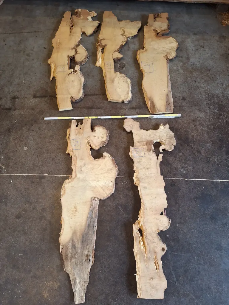 Planche de robinier loupé