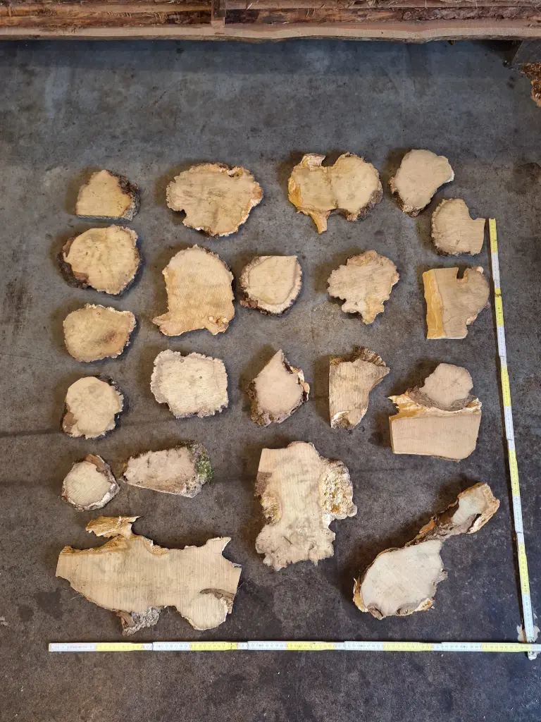 Planche de robinier loupé - small