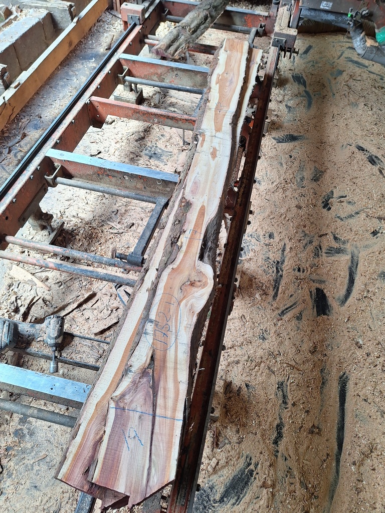 [PL-IFF-1752-1] Plateau If 23 x 70-190 x 2300 mm de la boule 1752 - 1