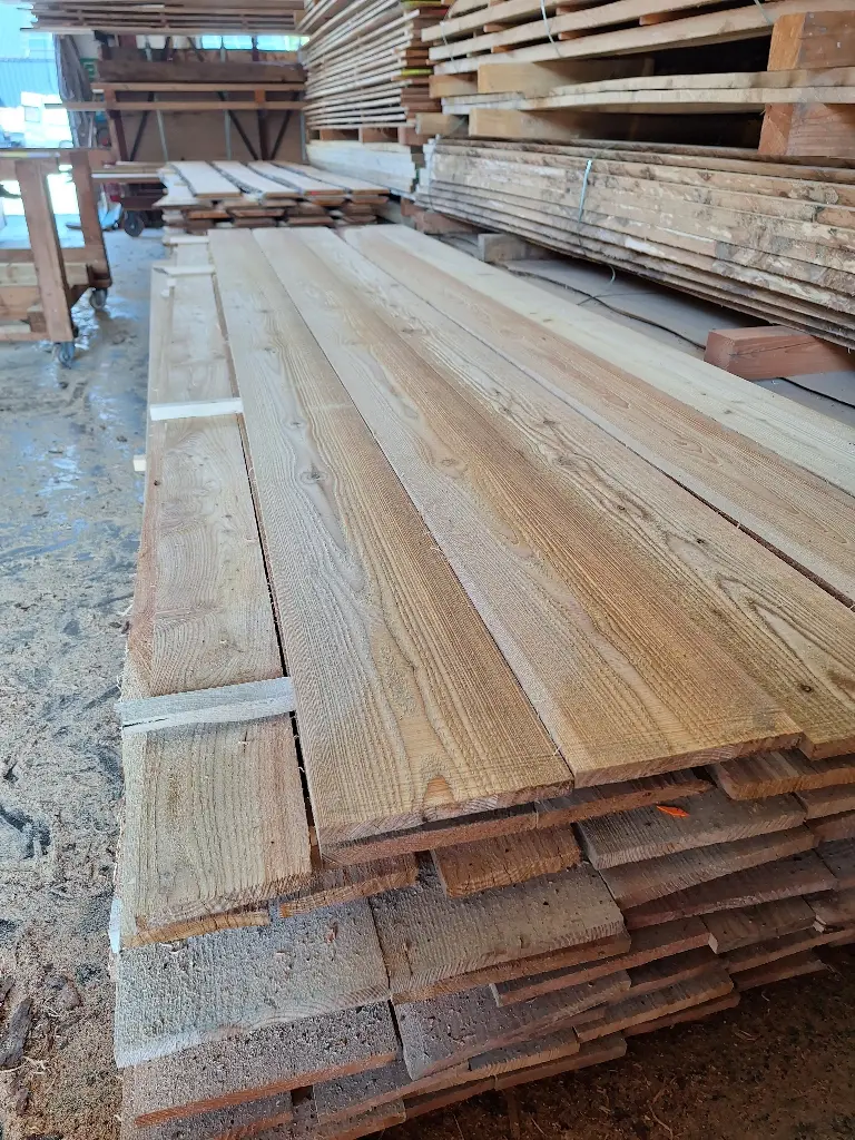 Avivé de Mélèze - 18mm