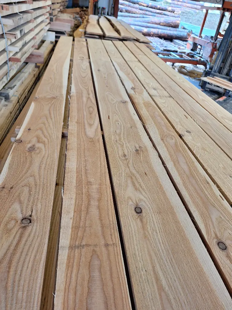 Avivé de Mélèze - 23mm