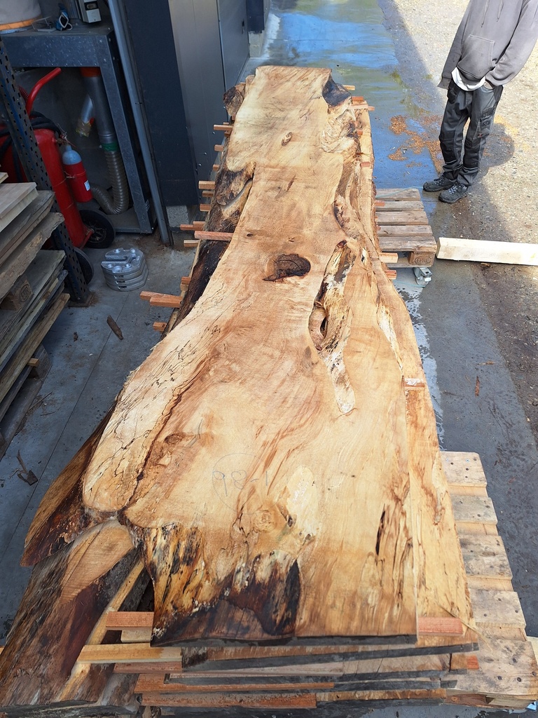 [PL-MAR-98-1] Plateau Marronnier 38 x 510-640 x 3450 mm de la boule 98 - 1