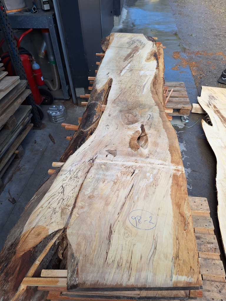 [PL-MAR-98-2] Plateau Marronnier 38 x 560-700 x 3450 mm de la boule 98 - 2