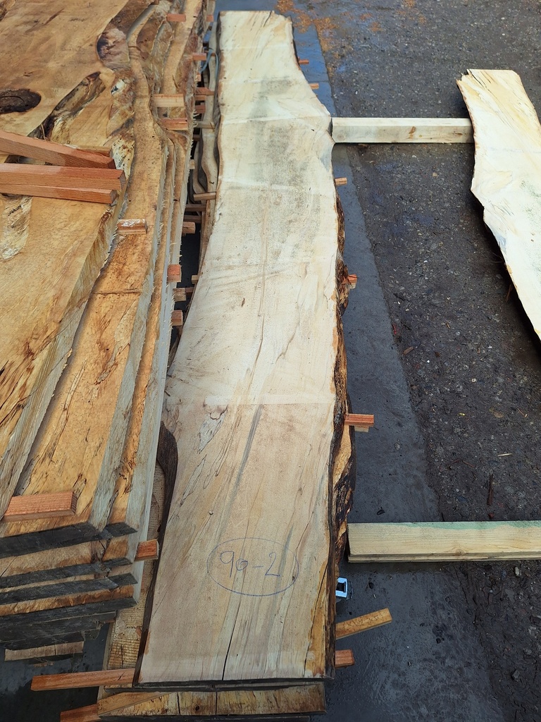 Plateau Marronnier 38 x 390-400 x 3540 mm de la boule 90 - 2