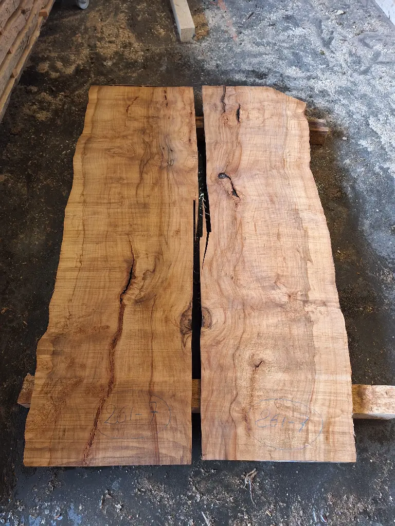 Plateau Hêtre 40 x 500-590 x 1930 mm de la boule 261 - 7