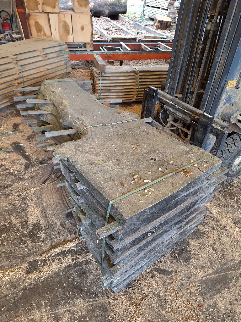 [BL-CHE-487] Boule Chêne Commun - 487