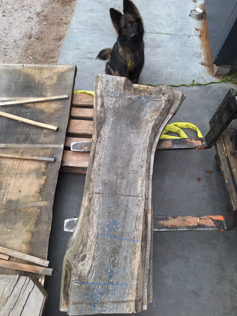 Plateau Chêne Commun 53 x 350-540 x 1730 mm de la boule 489 - 5