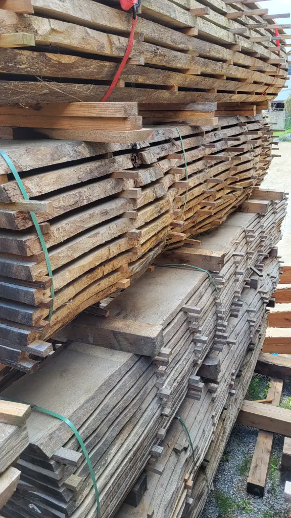 Boule Chêne Commun - 522