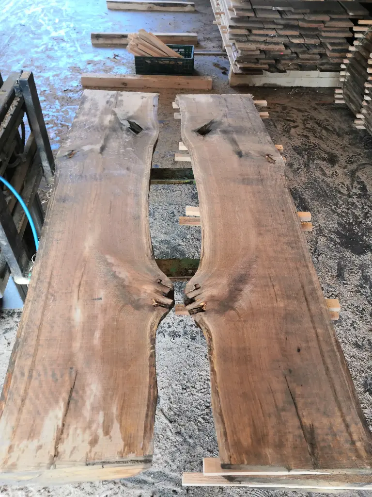 Boule Chêne Commun - 523