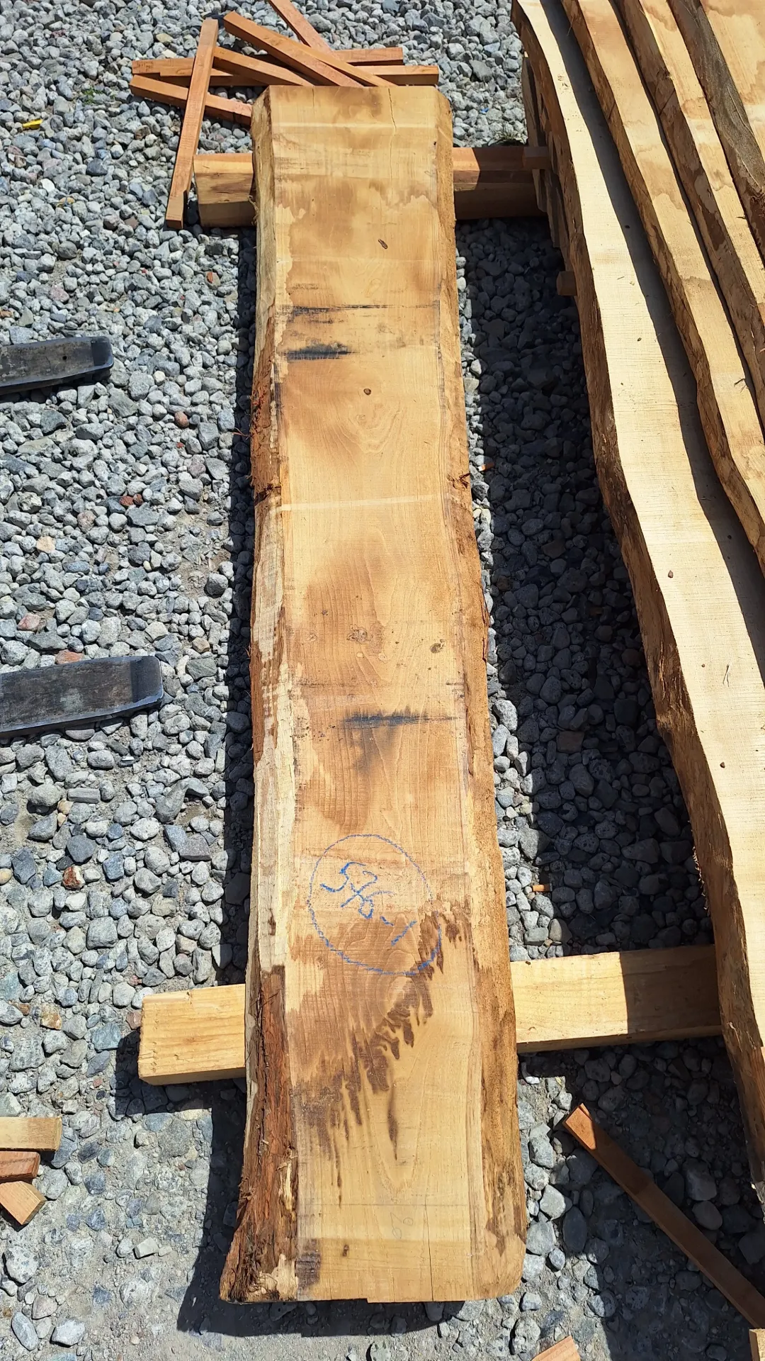 Plateau Chataigner 43 x 200-300 x 2110 mm de la boule 576 - 1