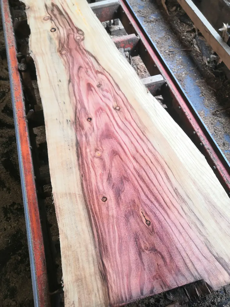 Boule Sequoia - 603
