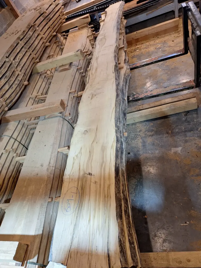 Plateau Erable 43 x 220-370 x 4000 mm de la boule 609 - 1