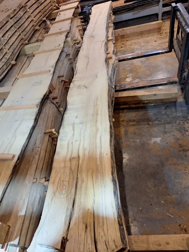 Plateau Erable 43 x 300-440 x 4000 mm de la boule 609 - 2