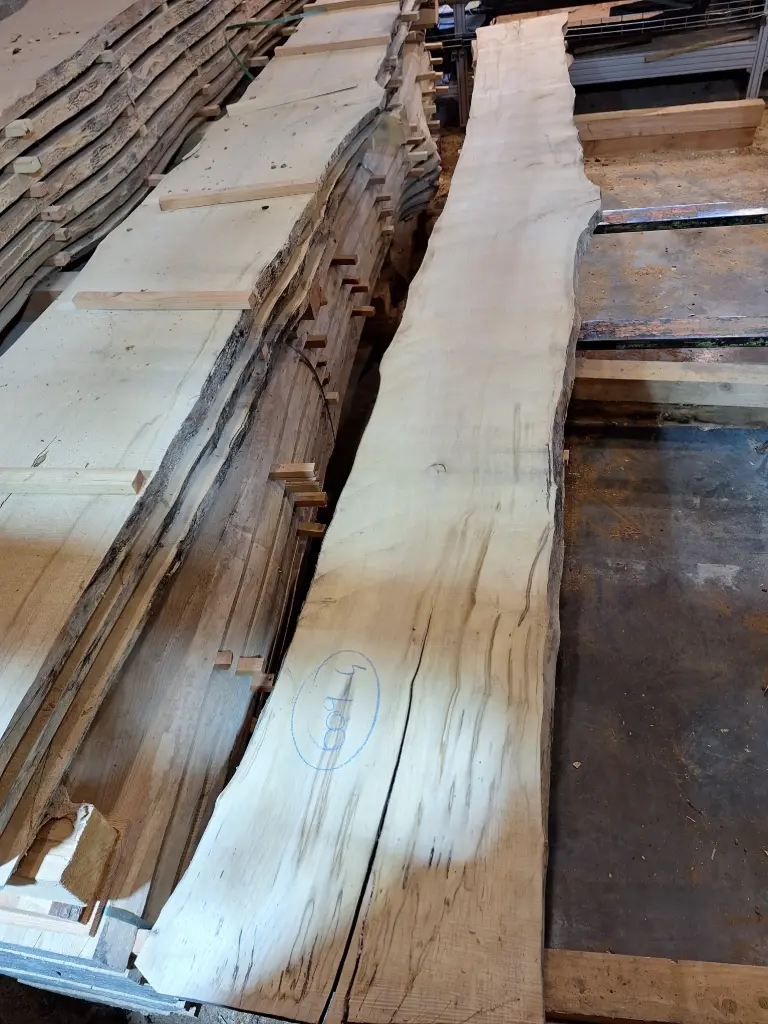 Plateau Erable 43 x 360-480 x 4000 mm de la boule 609 - 4