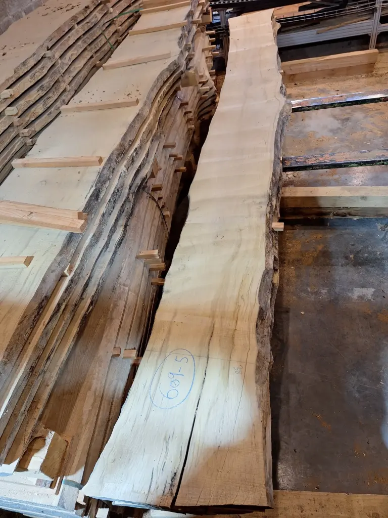 Plateau Erable 43 x 360-380 x 4000 mm de la boule 609 - 5