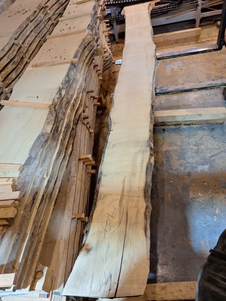 Plateau Erable 43 x 290-370 x 4000 mm de la boule 609 - 6