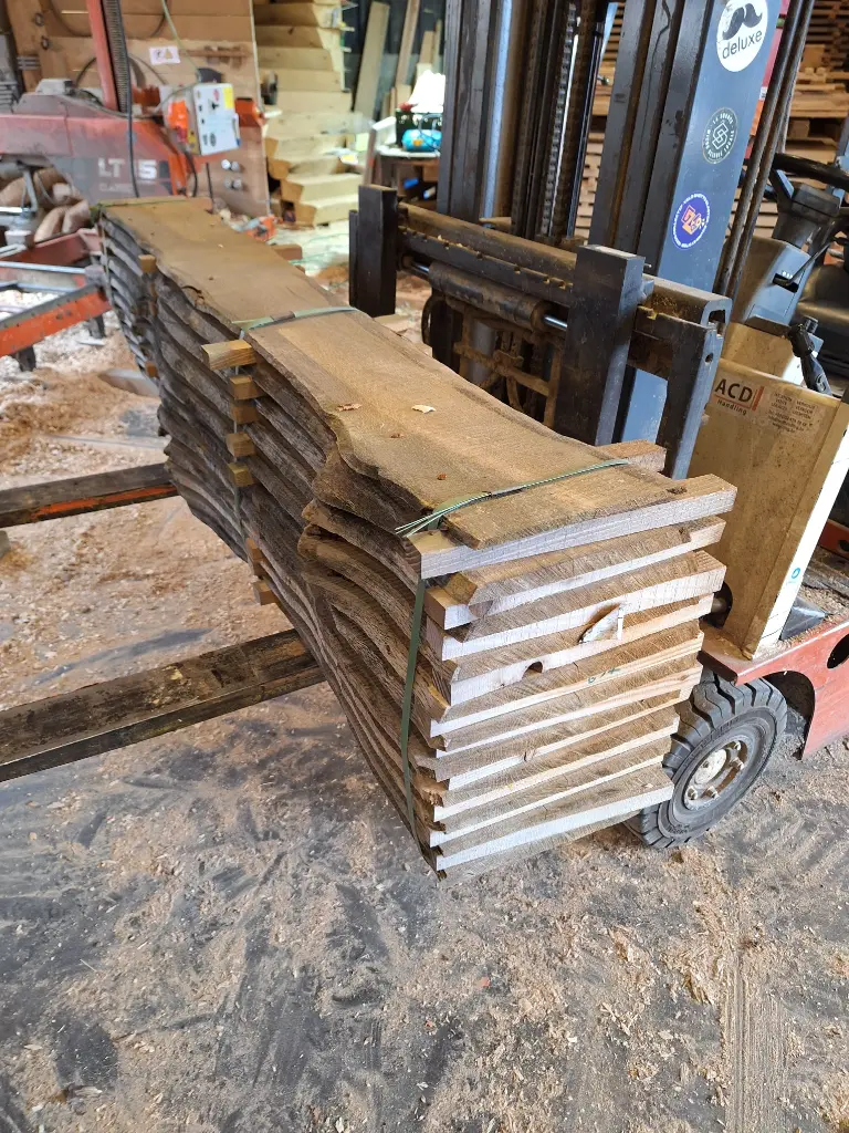 Boule Chêne Commun - 697