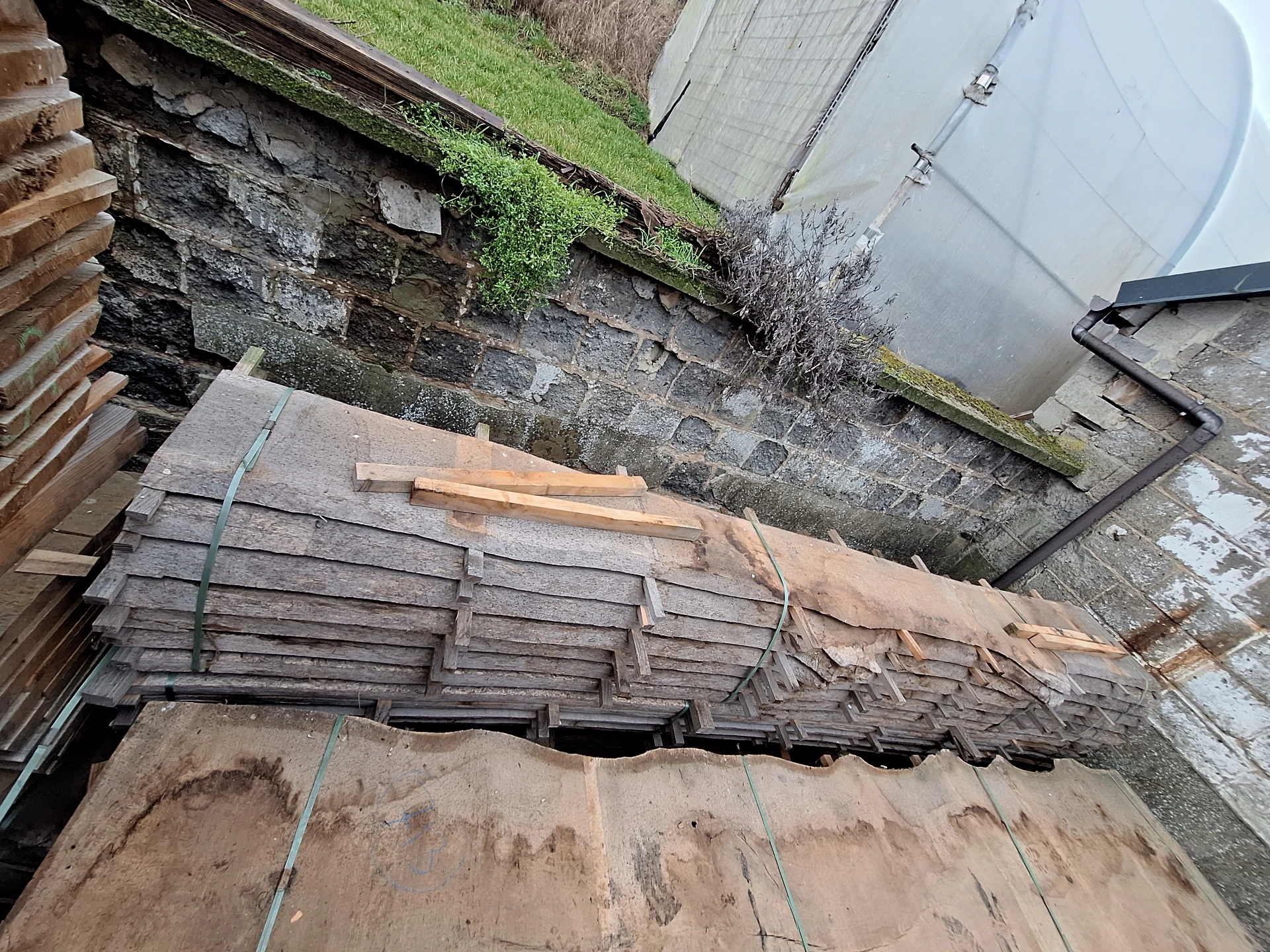 [BL-CHE-711] Boule Chêne Commun - 711