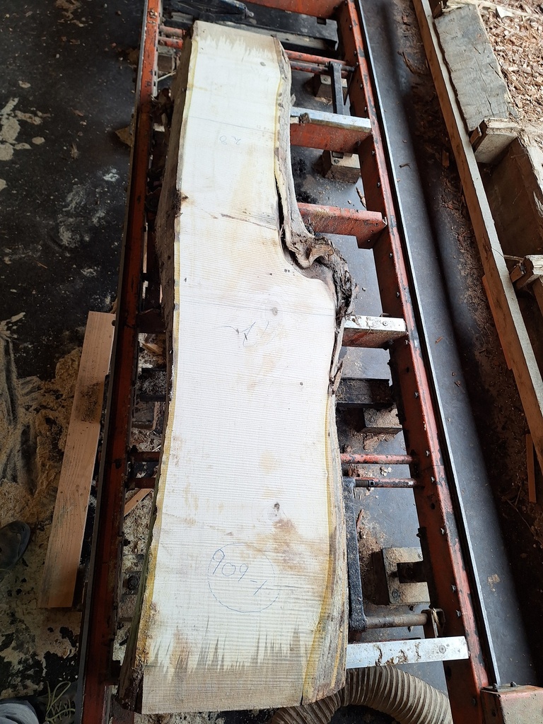 [PL-NOY-909-1] Plateau Noyer 38 x 280-420 x 2050 mm de la boule 909 - 1