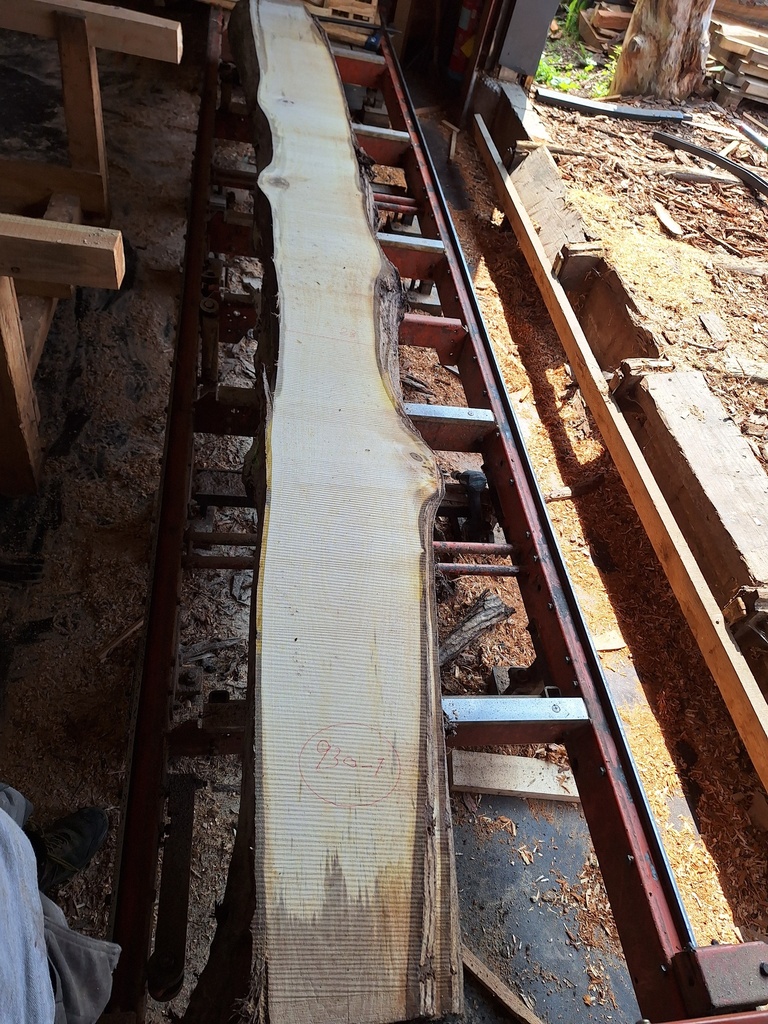 Plateau Noyer 28 x 230-320 x 4000 mm de la boule 930 - 1