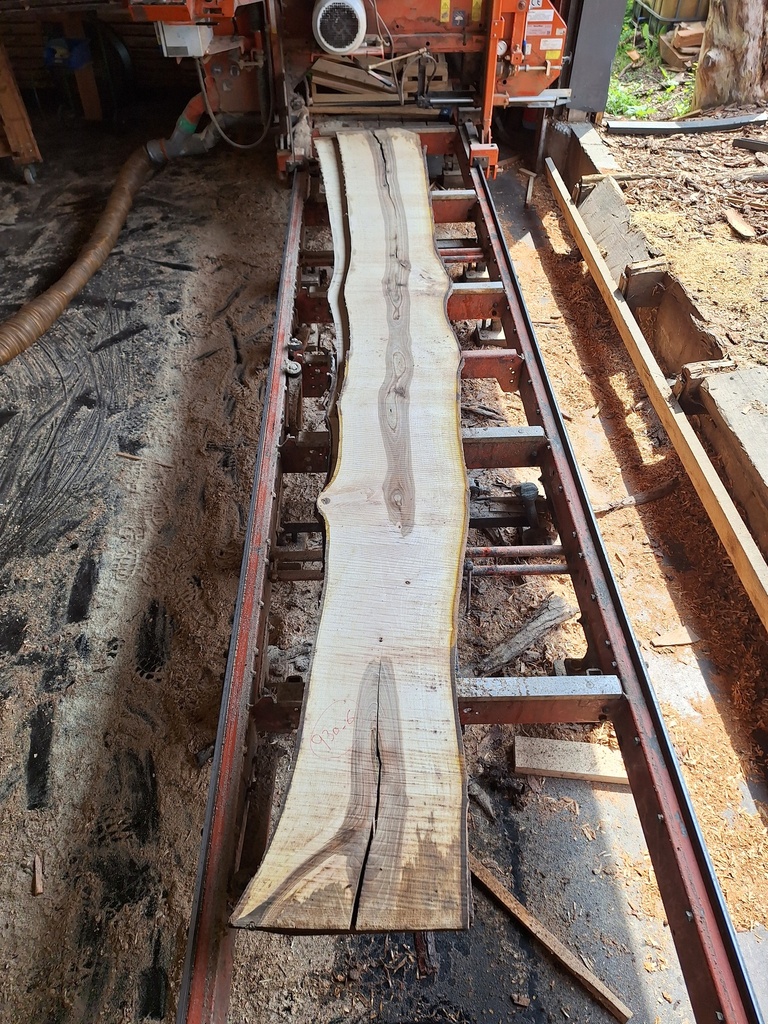 Plateau Noyer 28 x 320-370 x 4000 mm de la boule 930 - 6