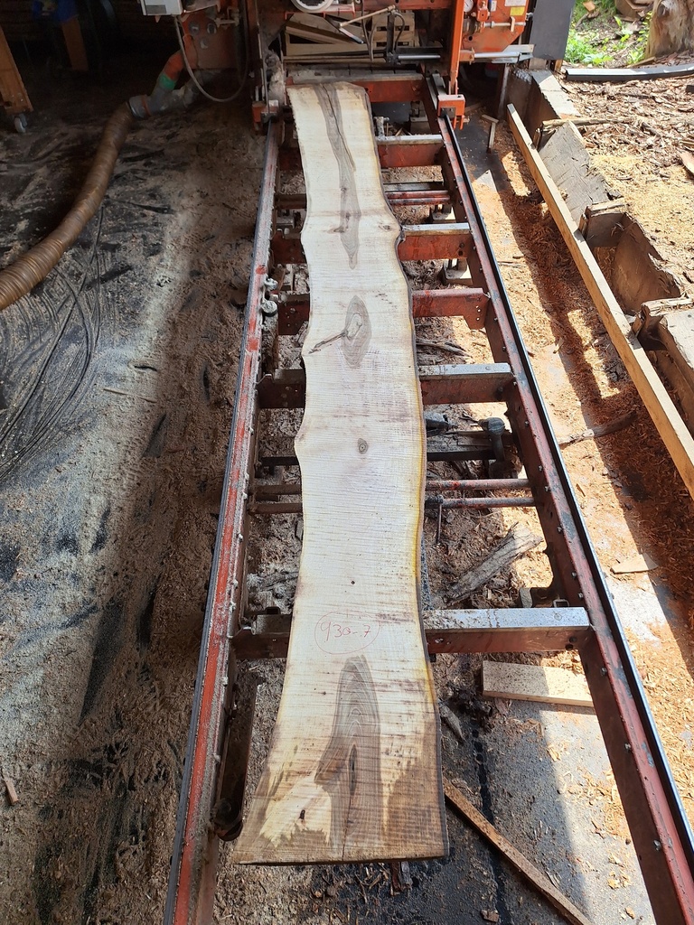 Plateau Noyer 28 x 260-320 x 4000 mm de la boule 930 - 7