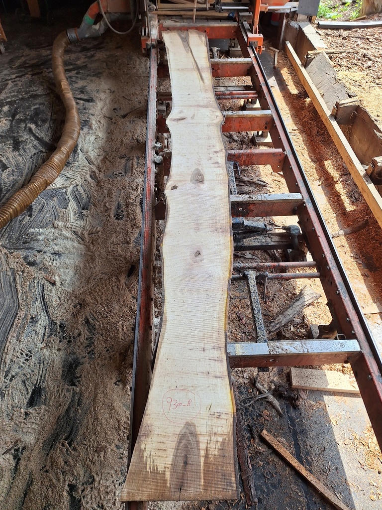 Plateau Noyer 28 x 200-300 x 4000 mm de la boule 930 - 8