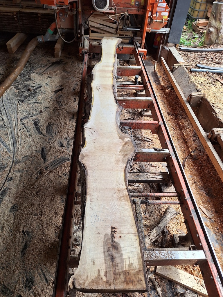 Plateau Noyer 28 x 180-340 x 3950 mm de la boule 931 - 1