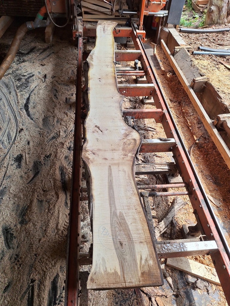 Plateau Noyer 28 x 230-370 x 3950 mm de la boule 931 - 2