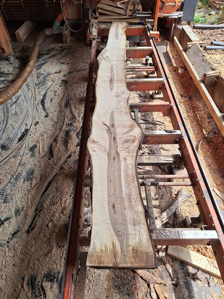 Plateau Noyer 28 x 250-370 x 3950 mm de la boule 931 - 3