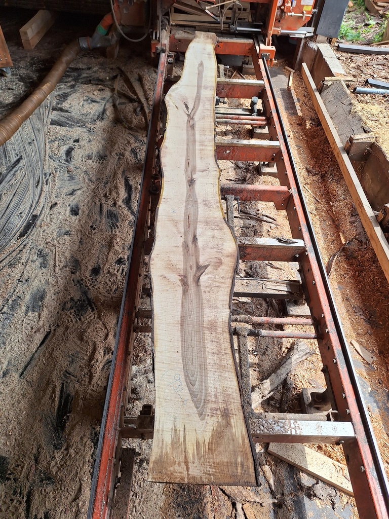 Plateau Noyer 28 x 250-360 x 3750 mm de la boule 931 - 4