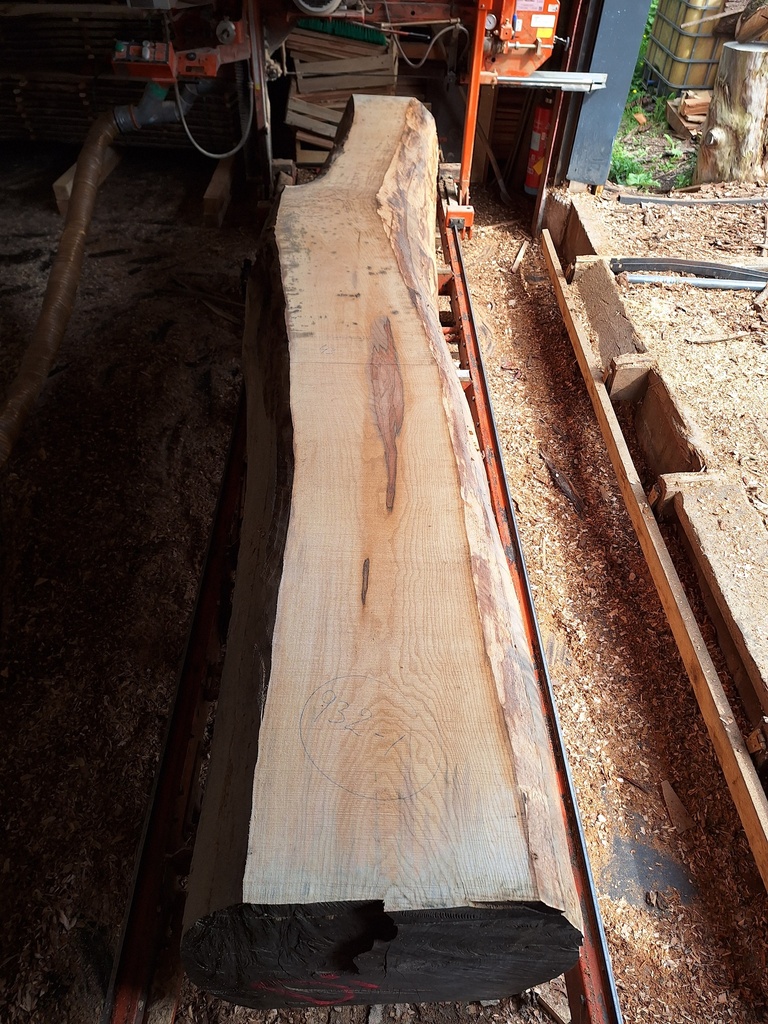 Plateau Frêne 53 x 220-430 x 4040 mm de la boule 932 - 1