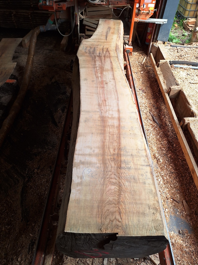 Plateau Frêne 53 x 410-540 x 4040 mm de la boule 932 - 2