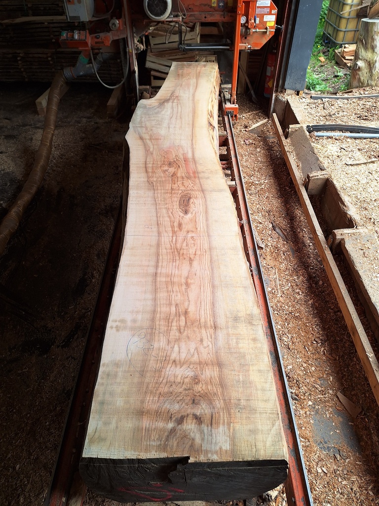 Plateau Frêne 53 x 480-600 x 4040 mm de la boule 932 - 3