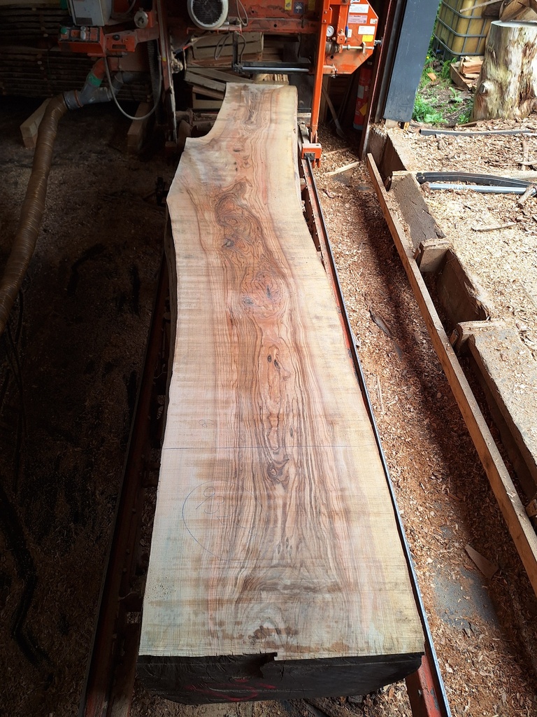 Plateau Frêne 53 x 520-660 x 4040 mm de la boule 932 - 4