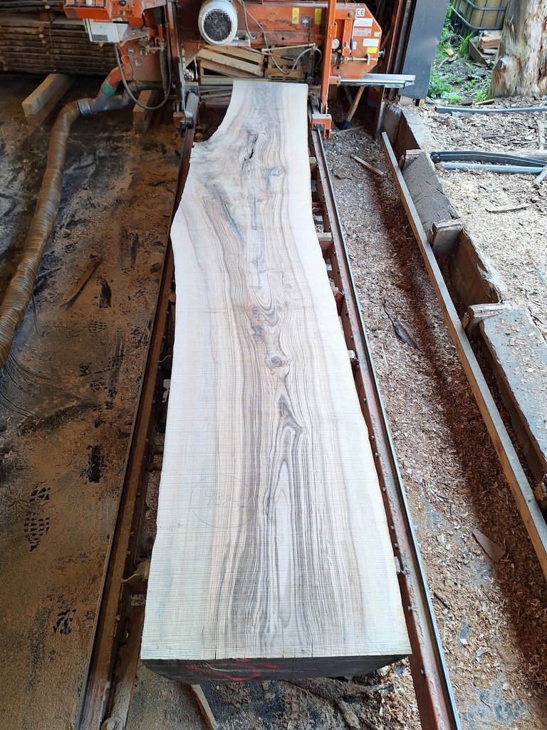 Plateau Frêne 53 x 540-670 x 4040 mm de la boule 932 - 7